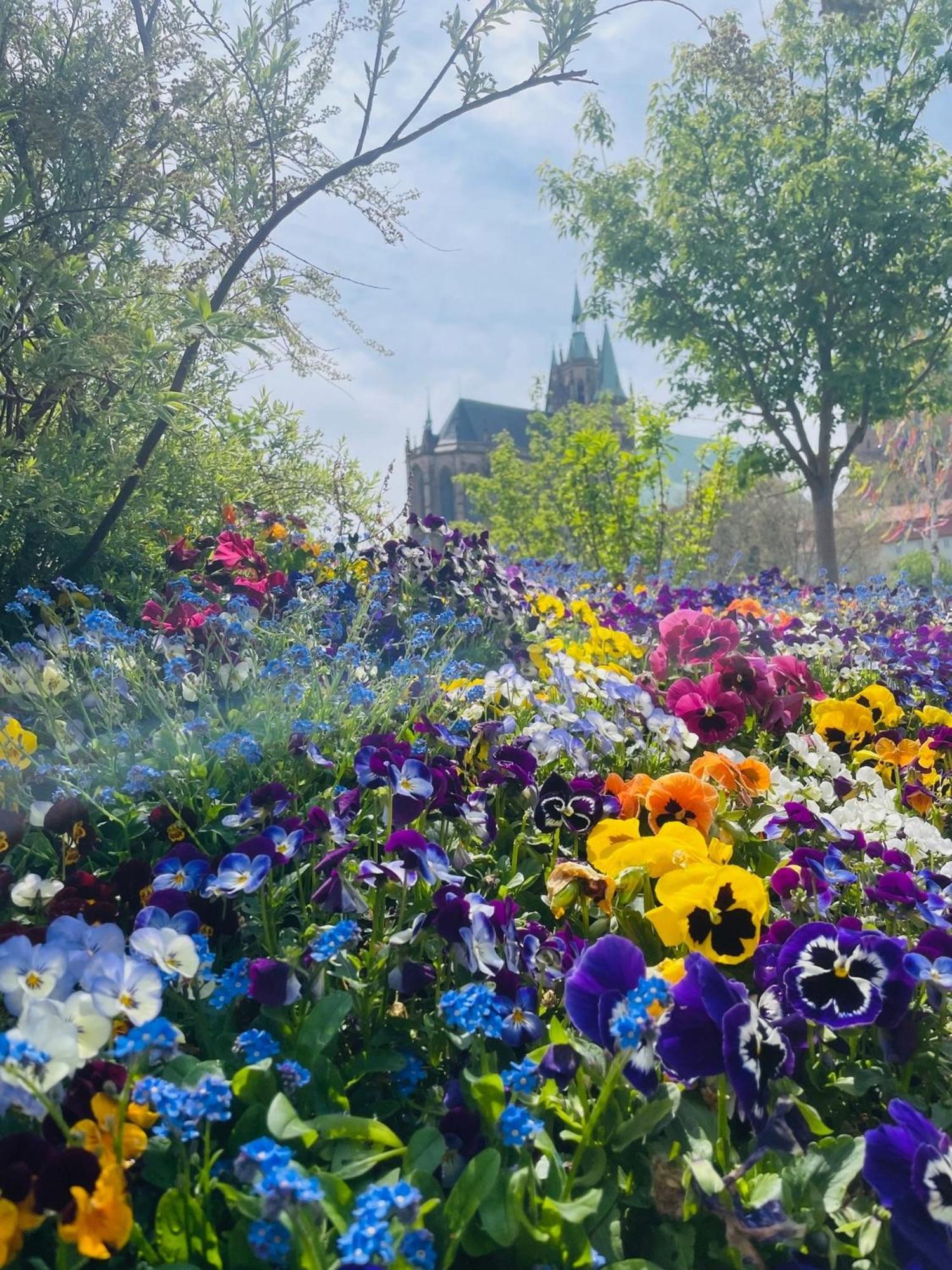 "Erfurt Geniessen" Leilighet Eksteriør bilde